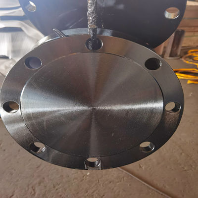 Klasse D AWWA C207-07 Ring Blind Flange A105N F304 304L F316 316L der Klassen-B